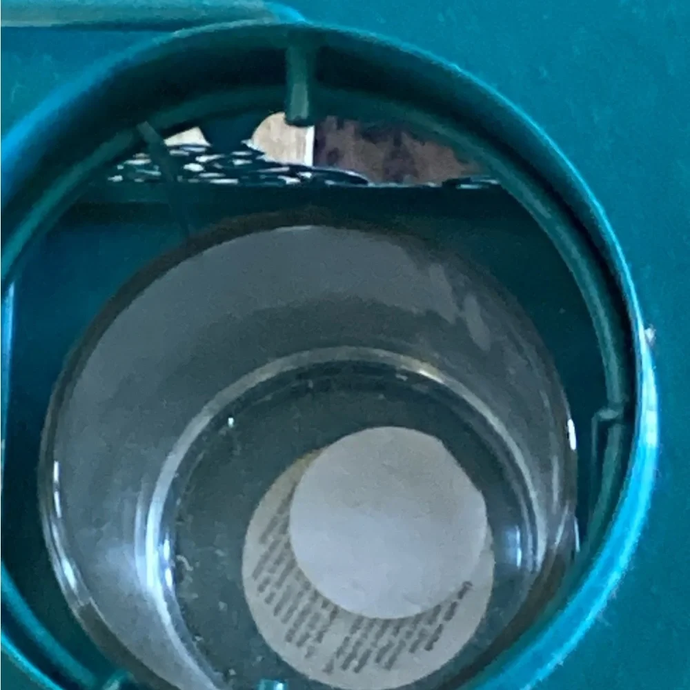 Pier 1 Teal Starfish Decorative Lantern Perfect for Beach House Decor